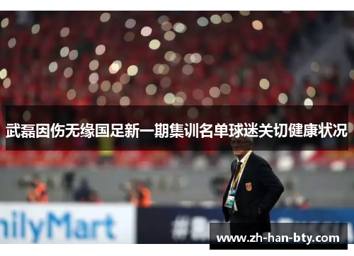 武磊因伤无缘国足新一期集训名单球迷关切健康状况 武磊因伤无缘国足新一期集训名单球迷关切健康状况